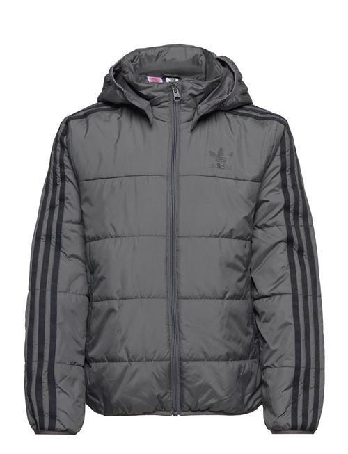 adidas Originals Adicolor Jacket Adidas Originals Grey