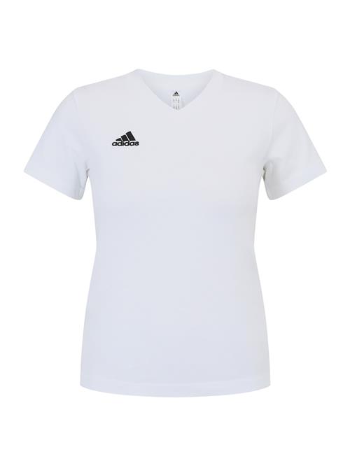 ADIDAS PERFORMANCE Funktionsbluse 'Entrada 22'  sort / hvid