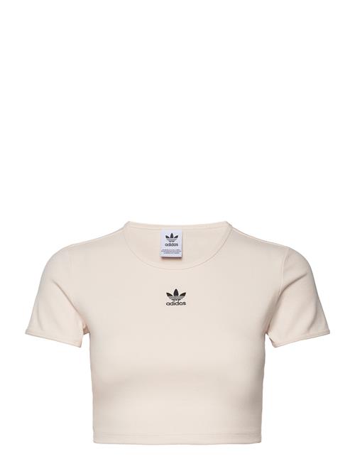 Rib Tee Adidas Originals Cream