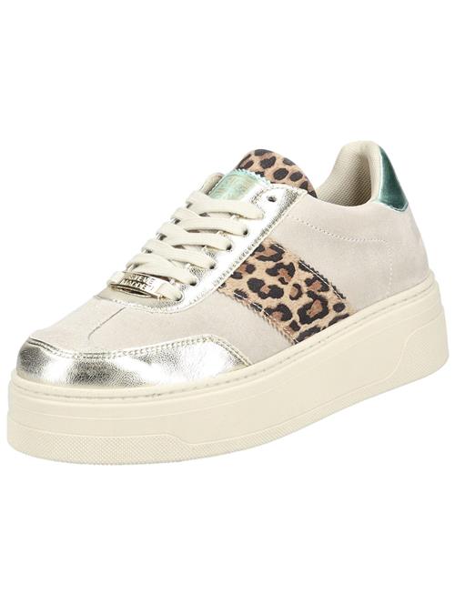 STEVE MADDEN Sneaker low 'Moxy'  beige / grøn / sort / sølv