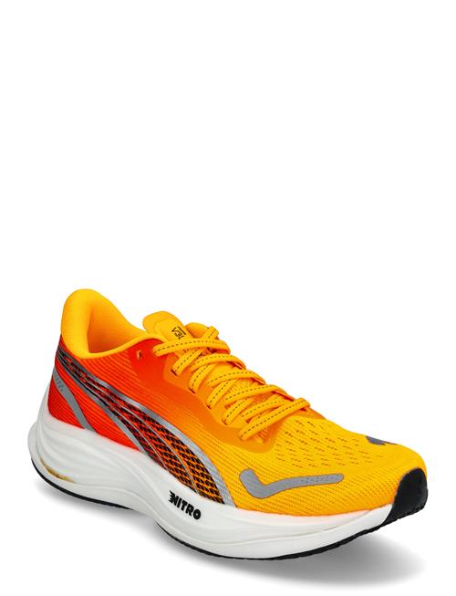 PUMA Velocity Nitro 3 Fade Wns PUMA Orange