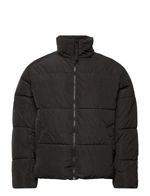 ONLY & SONS Onseverett Puffer Jacket Otw ONLY & SONS Black