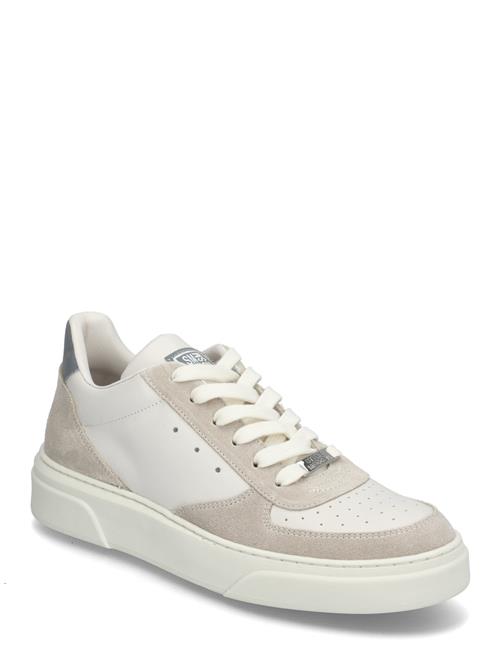 Brent Sneaker Steve Madden Beige