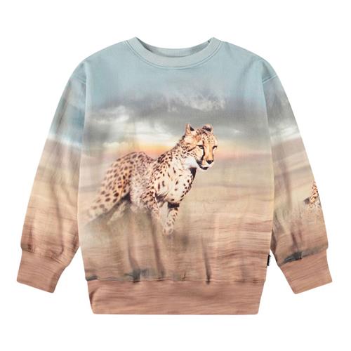 Molo Mattis Sweatshirt Running Cheetahs | Brun | 92 cm