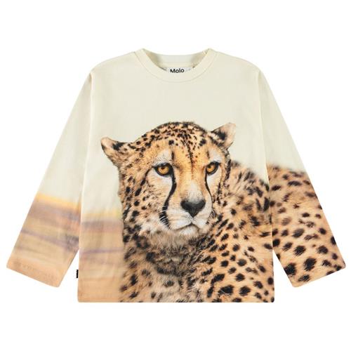 Molo Rollo Long-Sleeved T-Shirt Big Cheetah Light | Beige | 152 cm