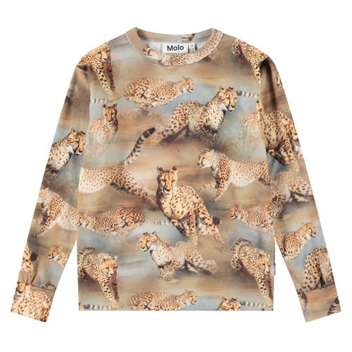 Molo Rill Long-Sleeved T-Shirt Fast Cheetahs | Beige | 116 cm