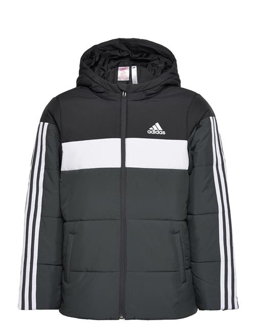 adidas Sportswear Padded Jacket Kids Adidas Sportswear Black