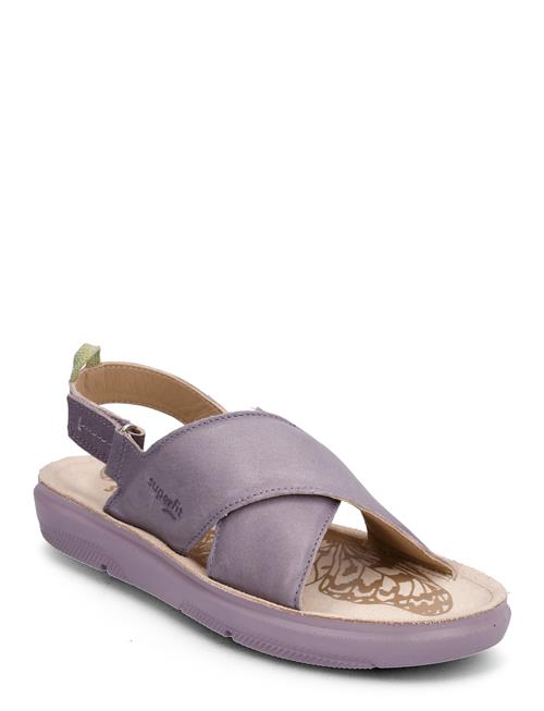 Paloma Superfit Purple