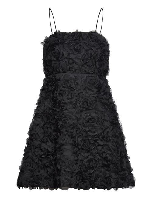 MAUD Lara Dress MAUD Black