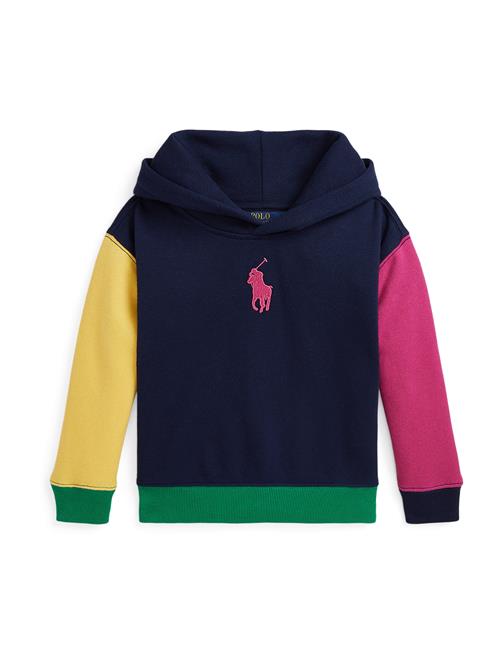 Polo Ralph Lauren Sweatshirt  navy / gul / grøn / magenta