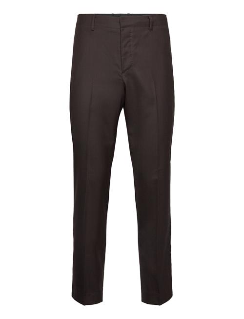 AllSaints Thorpe Trouser AllSaints Brown