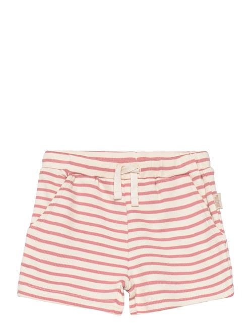 Petit Piao Shorts Modal Striped Petit Piao Pink