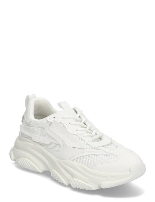 Possess Steve Madden White