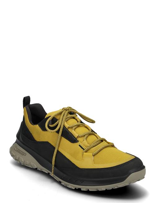 Ult-Trn M ECCO Yellow