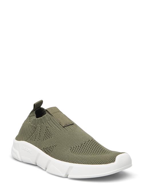 GEOX J Aril Boy A GEOX Khaki