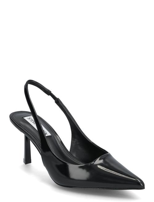 Steve Madden Valoris Slingback Steve Madden Black