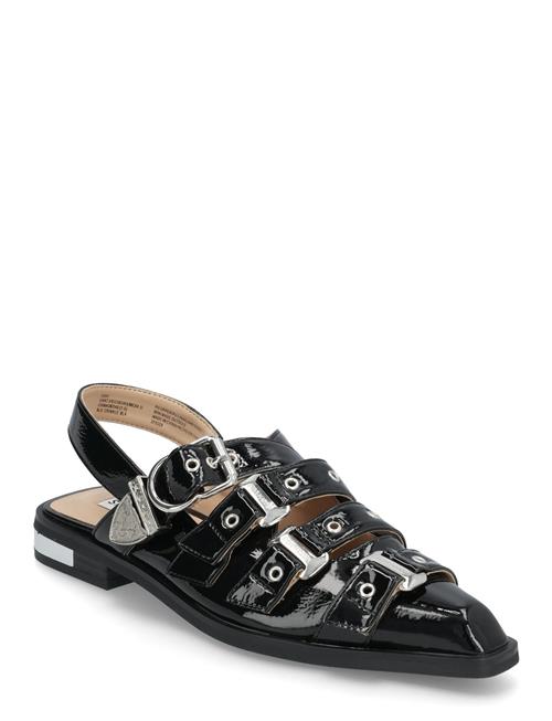 Gari Sandals Steve Madden Black