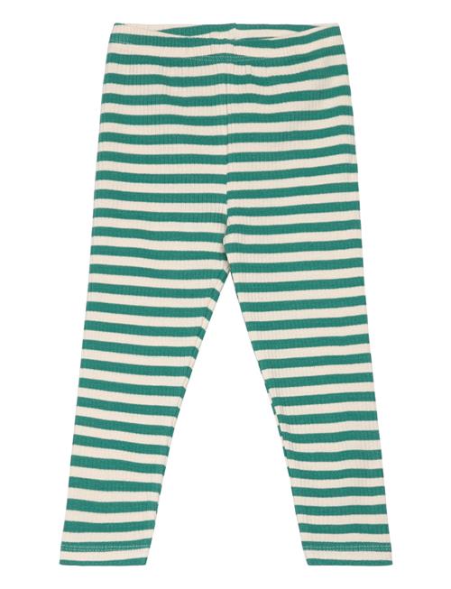 The New Tnstfro Uni Rib Leggings The New Green