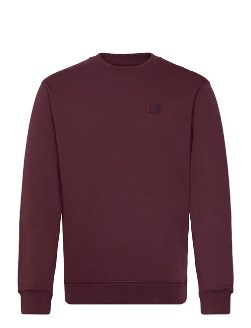 Essential Logo Badge Crew Scotch & Soda Burgundy