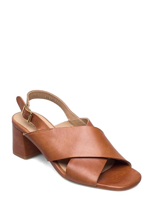 ANGULUS Sandals - Block Heels ANGULUS Brown