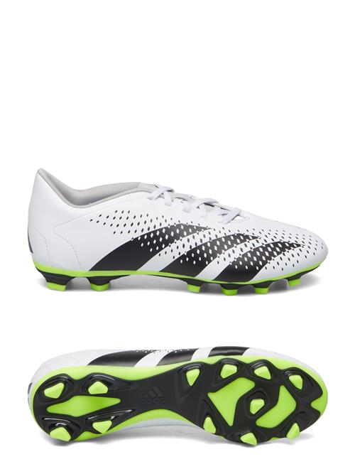 Predator Accuracy.4 Fxg Adidas Performance White