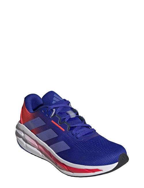 adidas Performance Questar 3 M Adidas Performance Blue