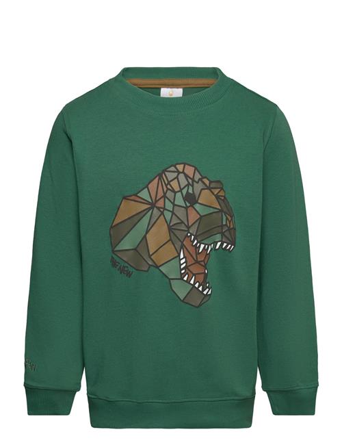 The New Tnlazaron Sweatshirt The New Green