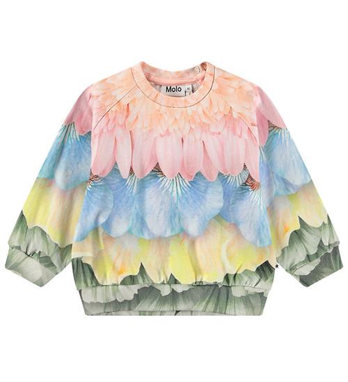 Molo Sweatshirt - Disc - Petal Rainbow