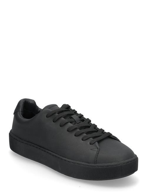 Rainbow Warrior Low Viking Black