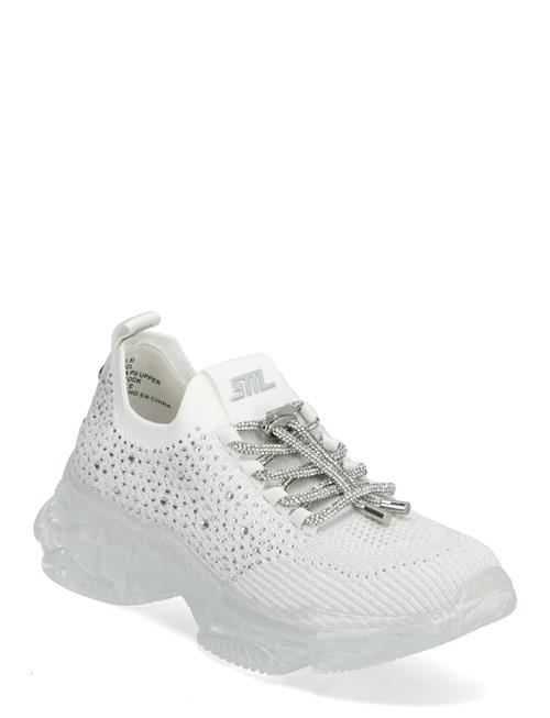 Meter Sneaker Steve Madden White