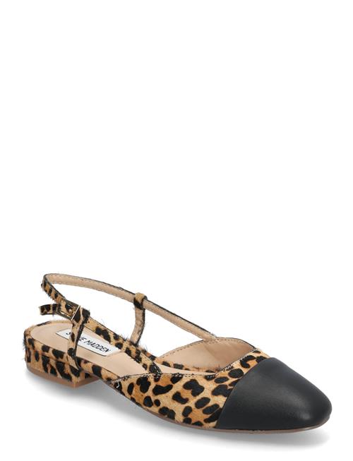 Steve Madden Belinda-L Ballerina Steve Madden Black