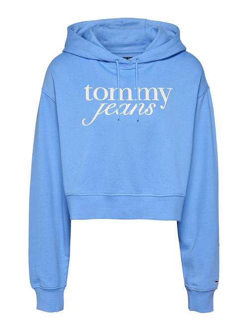 Tommy Jeans Sweatshirt  azur / hvid