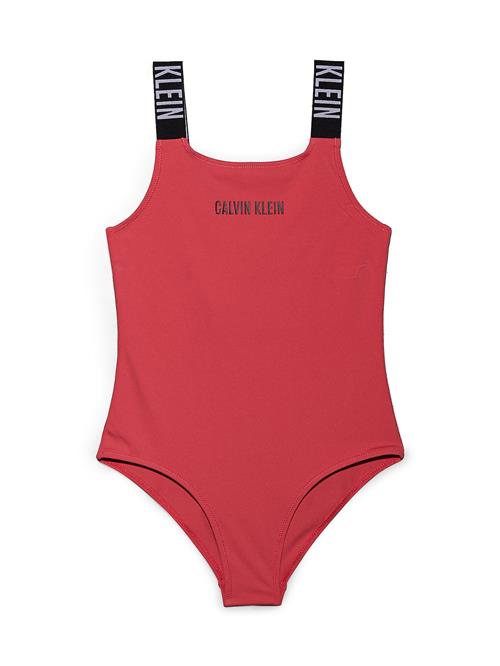 Calvin Klein Swimwear Badedragt  cranberry / sort