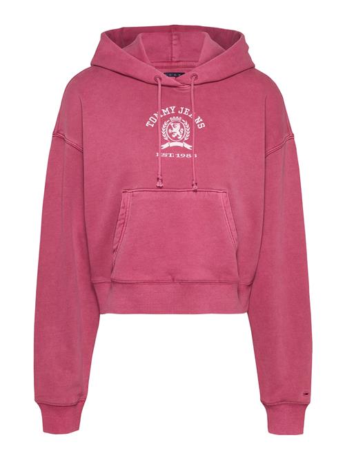 Se Tommy Jeans Sweatshirt 'VARSITY'  burgunder / hvid ved About You
