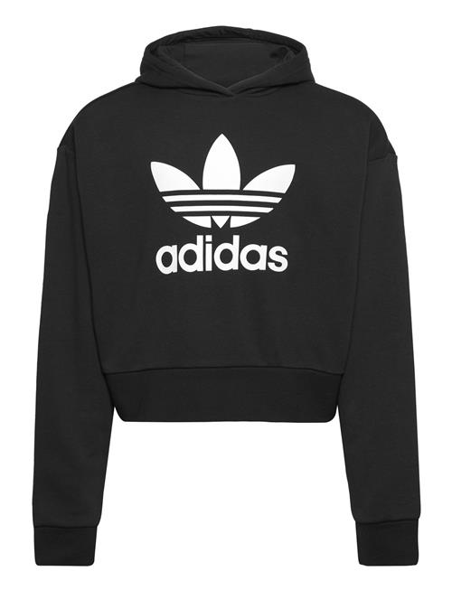 Cropped Hoodie Adidas Originals Black