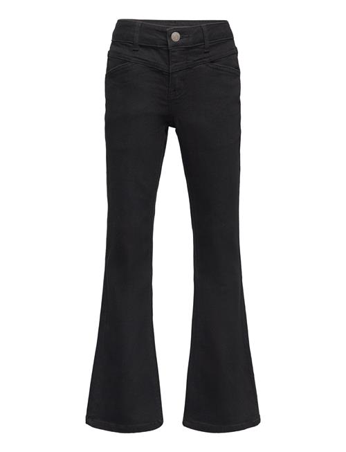 LMTD Nlfnece Dnm Lw Bootcut Pant LMTD Black