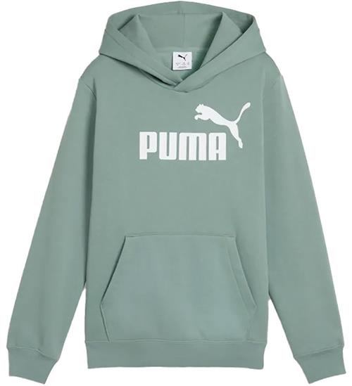 Puma Hættetrøje - ESS Logo - Green