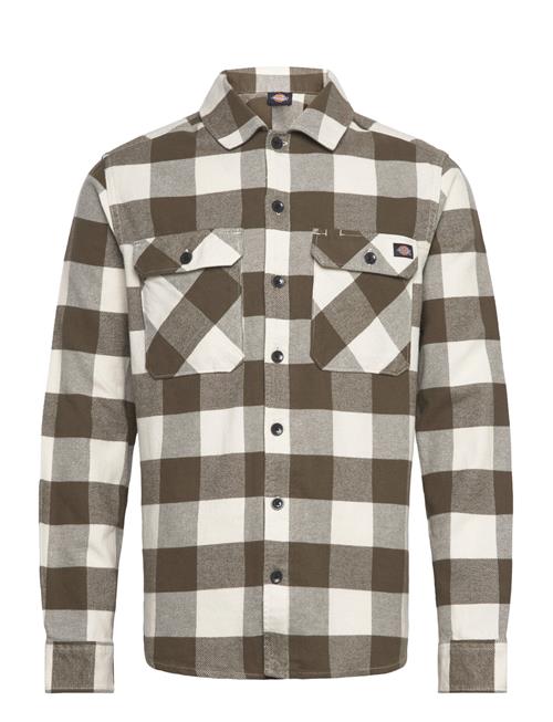 New Sacramento Shirt Dickies Brown
