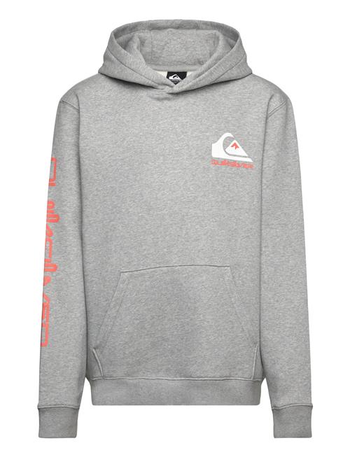 Omni Logo Hoodie Youth Quiksilver Grey