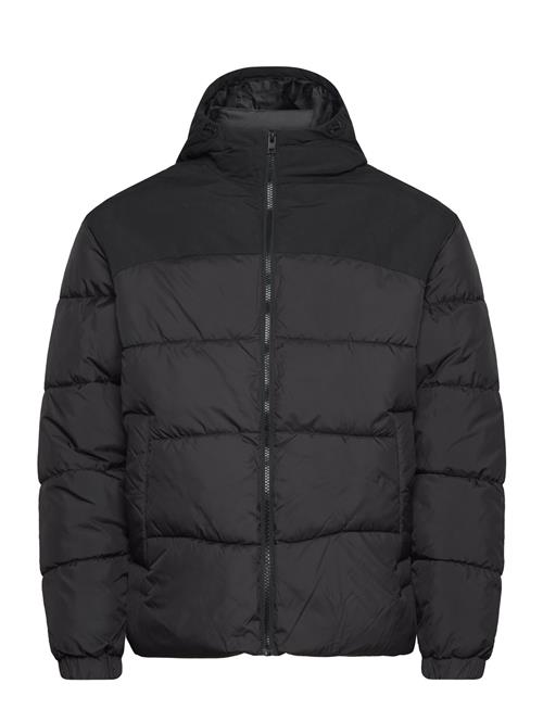 Jack & Jones Jjmoon Hood Puffer Jack & J S Black