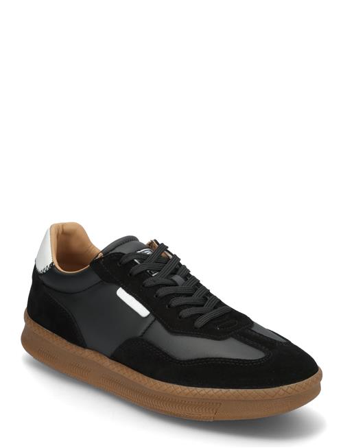 Euphoria-M Sneaker Steve Madden Black