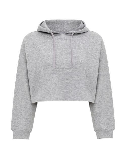 Se Jacey Quinn Sweatshirt  grå ved About You