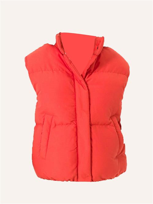 Daniel Hills Vest  orange