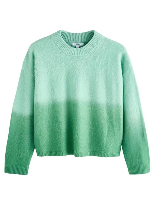 Se Next Pullover  grøn / mint ved About You