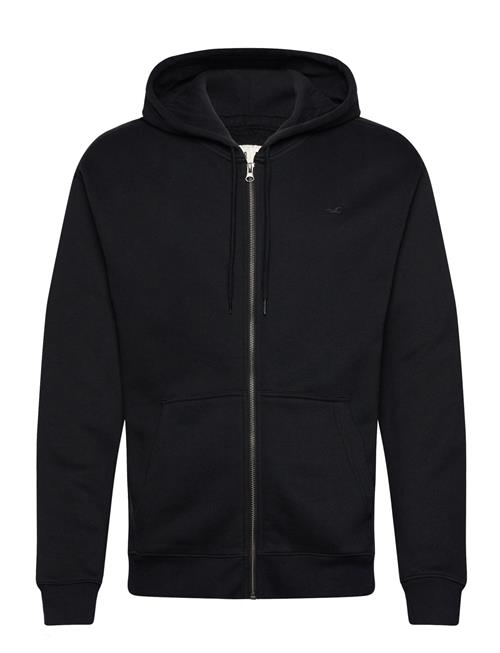 Hco. Guys Sweatshirts Hollister Black