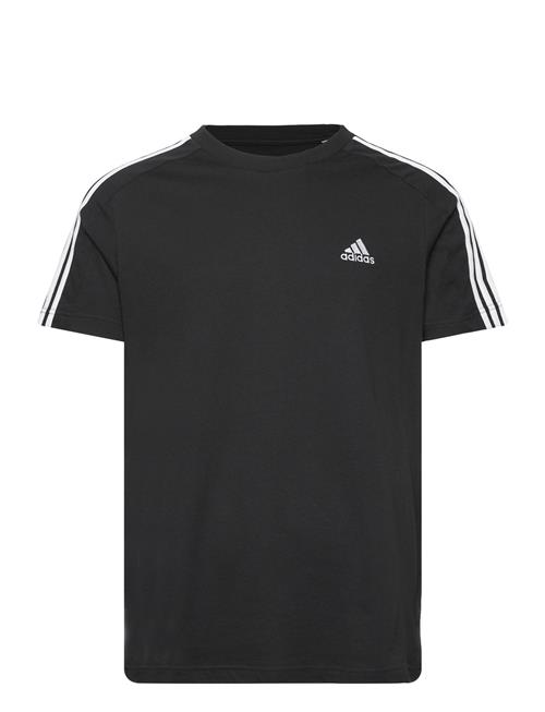 M 3S Sj T Adidas Sportswear Black