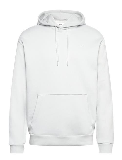 Hco. Guys Sweatshirts Hollister White