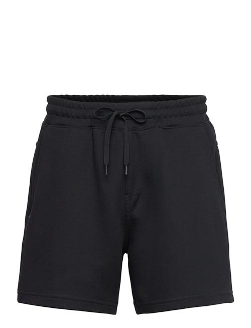 Hco. Guys Shorts Hollister Black