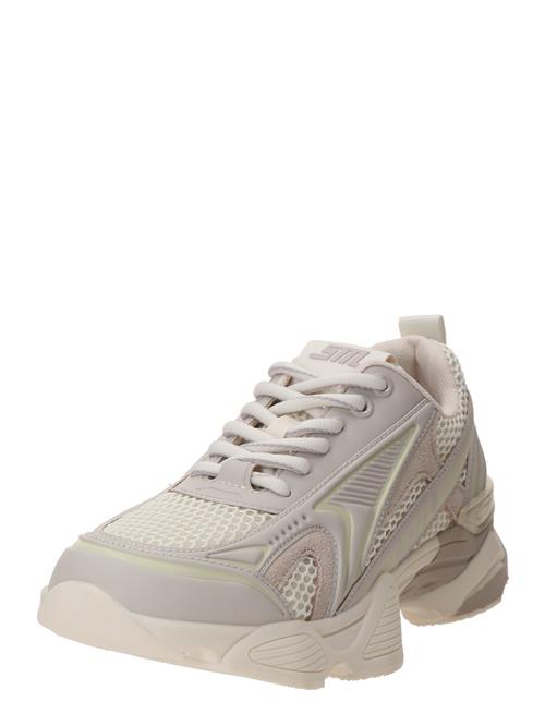 STEVE MADDEN Sneaker low 'Speedster-E'  kit / lysebeige