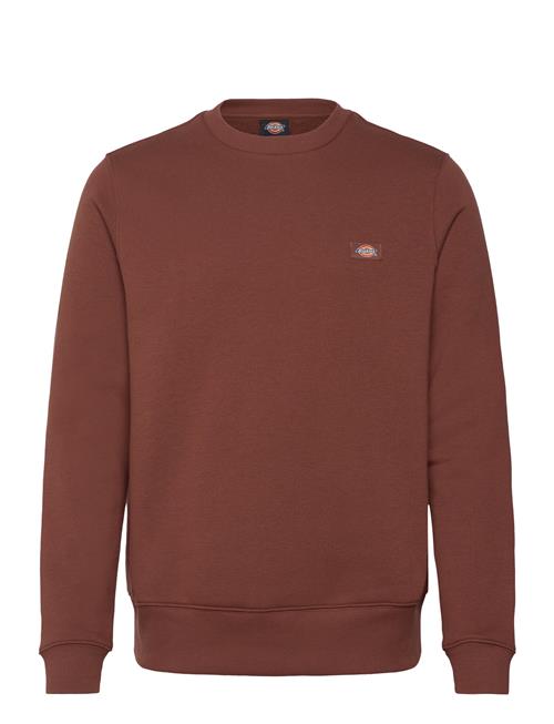 Oakport Sweatshirt Dickies Brown